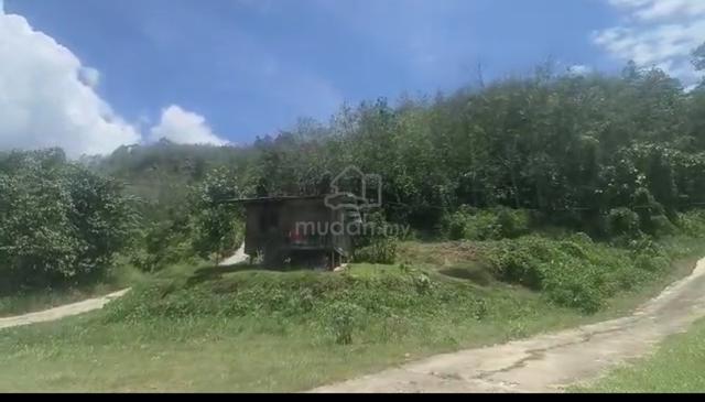 Tanah cantik di babagon mencari pemilik bertuah yg baru 1