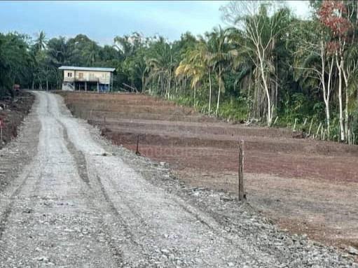 Tanah Setiap Lot Untuk DiJual Di Kampung Rancangan Ranggu Tawau 1