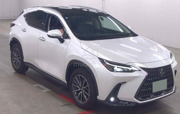 2023 Lexus NX250 2.5 BASE GRADE (A) - 4