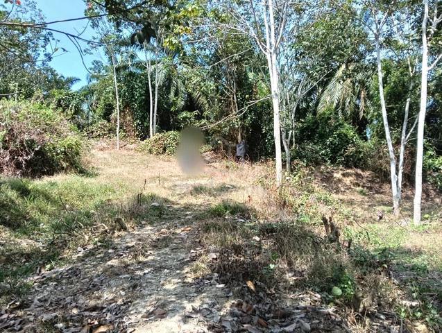 Easy access Agricultutal land Lendu Alor Gajah Melaka 2