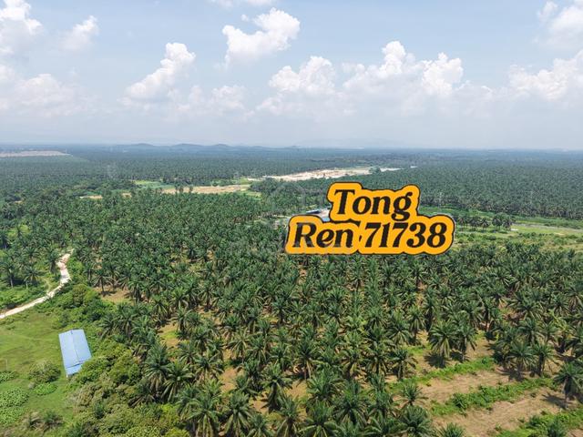 Sidam Kiri 👉Kedah Agriculture Land For Sale 1