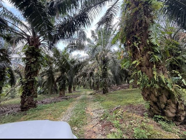 7 acre senai seelong medium industry converted included freehold inter 4