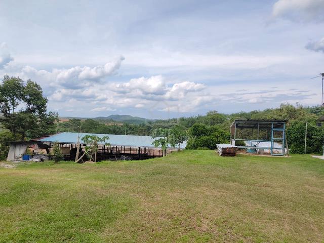 1 acre Exevalley Orchard Agricultural Land, Linggi, Pedas, N9 1