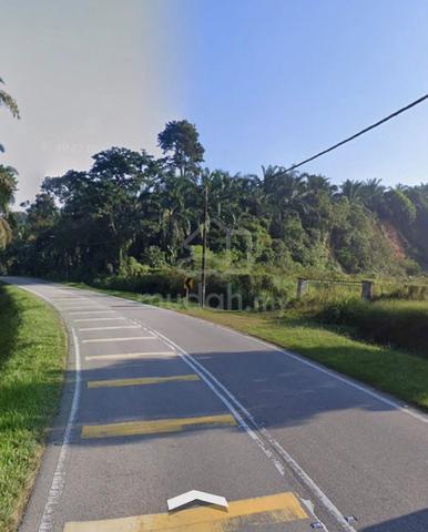 Pontian Agricultural Land For Sale 1