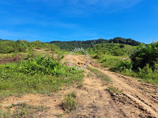 Agriculture Land Kerling, Hulu Selangor 162.6 EKAR 5
