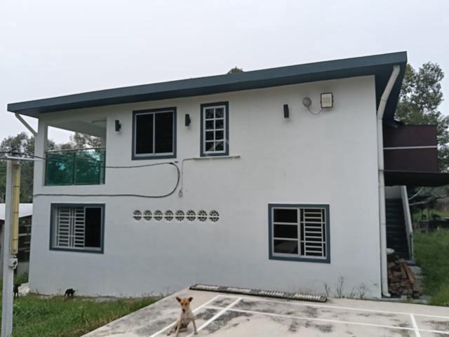Peaceful Nature Living: Room for Rent at a Scenic Durian Farm! 1