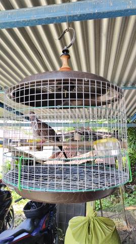 Carousel Image Selected