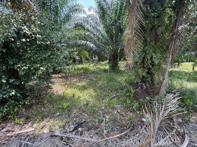 2 acres Zoning Industrial land at Telok Panglima Garang for sales🌱 1