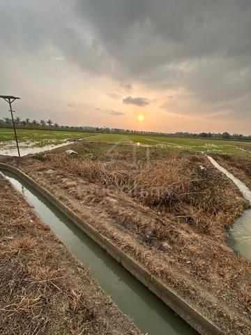 Tanah kubang semang untuk dijual 1