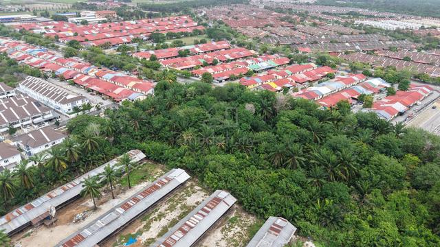 BERTAM PERDANA FACING ROAD LAND FOR RENT 2ACRE Nr TECHNOLOGY PARK 1