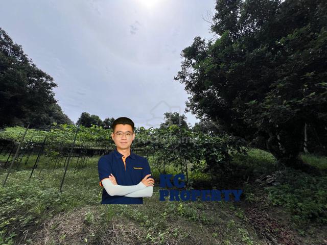 8.36 Acre Agri Land, Jalan Gajah Mati, Machang Bubok 4