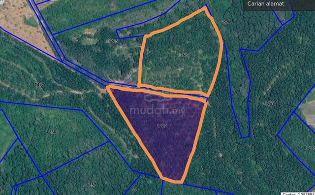 Alor Gajah Freehold Agricultural Land 1