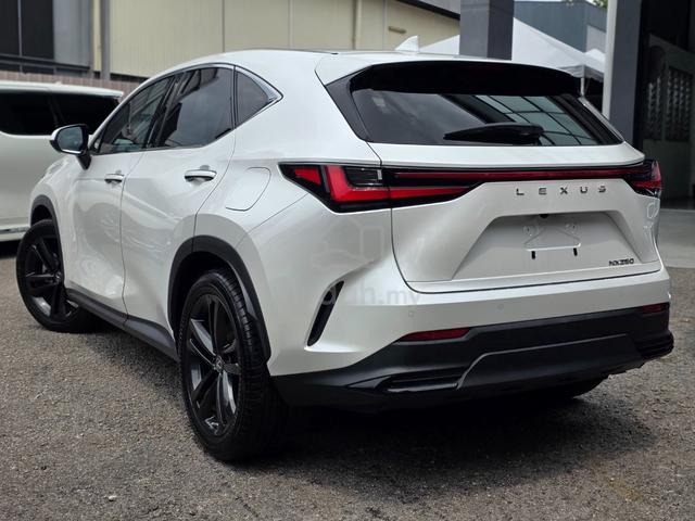 2022 Lexus NX250 2.5 LUXURY (A) - 2