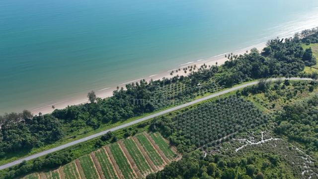 Lundu Beachside Land For Sale 1