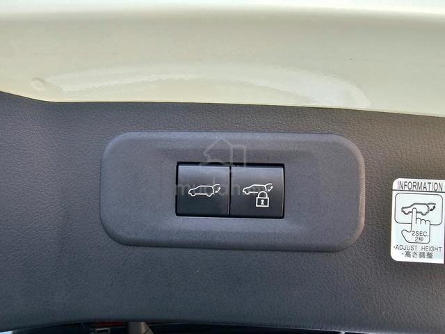 2023 Lexus NX250 2.5 Version L P/R 4Cam HUD DIM FS - 5