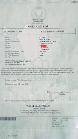 Tanah kelapa sawit untuk dijual 1