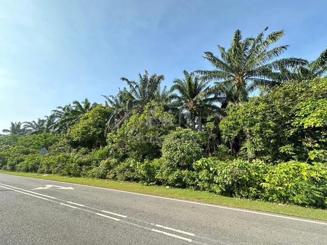 Bandar Amanjaya Zoning Residential Agriculture Land 10.66 Acres 1