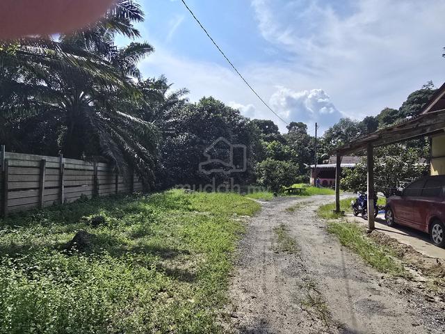 Land for Sale Kampung Berangan 9 Machang Bubok 1