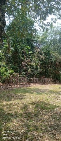 Tanah Pertanian,Ulu Selangor 1