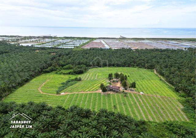 Agriculture Land For Retirement | Peaceful Natural Environment 1