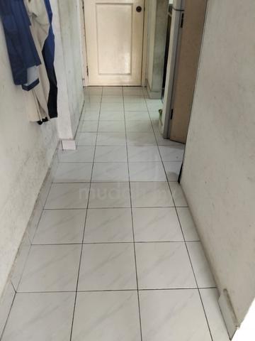 Brunsfield Riverview 1