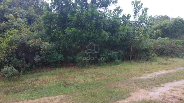Lot Banglo PADANG PULUTPadang Pulut - Untuk Dijual Segera- URGENT!! 1