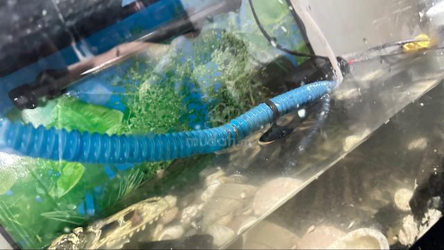 Aquarium - photo 2 of 3