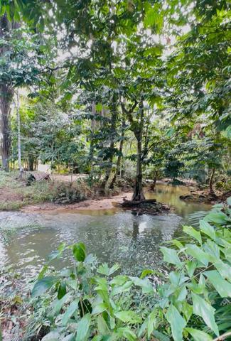 TANAH SUNGAI + DUSUN DURIAN | 3 Ekar | Sungkai Perak 1