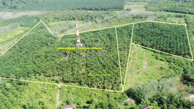 Tanah Kelapa sawit - Kg Berona - Jeniang 4