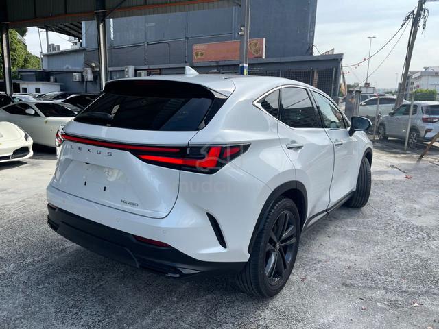 2022 Lexus NX 250 2.5 LUXURY GRADE 5/A UNREG - 3
