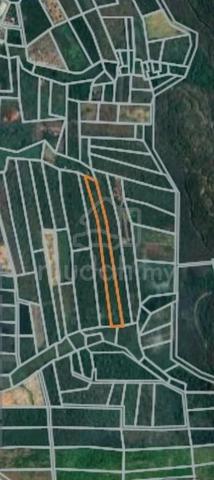 Kedah Kuala Nerang Agricultural Land For Rent 1