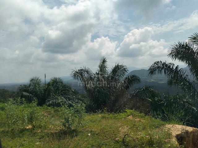 Tanah freehold 2.6 ekar, kg.mendum, Ulu Beranang 1