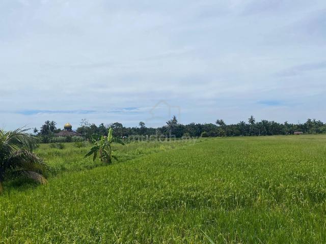 Tanah untuk dijual 1