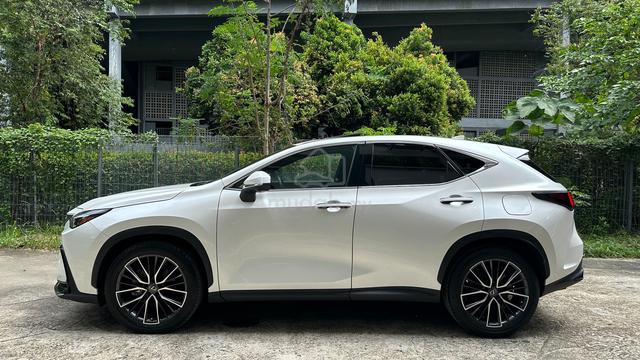 S/Roof Dim 2023 Lexus NX250 2.5 VERSION L Hud Bsm - 5