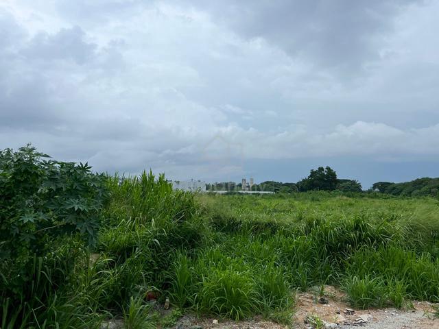 Mixed-Development Land, Jalan Song Ban Kheng, Bukit Mertajam, Penang 3