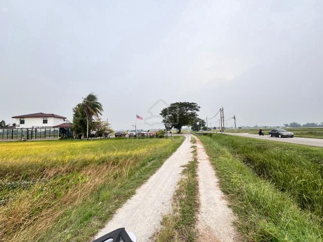 GERAN INDIVIDU❗❗🔥BOLEH LOAN😱😍Tanah Sawah Permatang Bogak Penaga🔥🔥 1