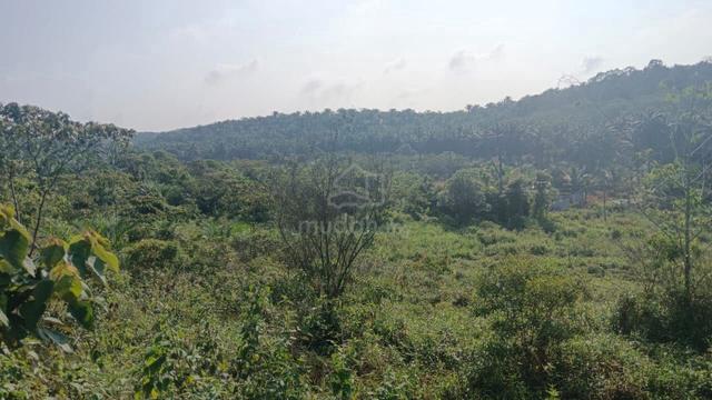 Land for sale urgent 9.54 acre Gemas 1