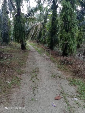 Tanah untuk dijual 1