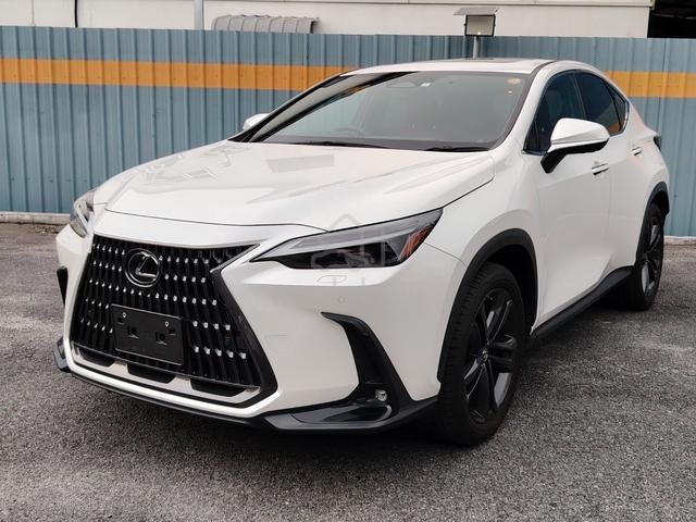 2023 Lexus NX 250 2.5 LUXURY (A) - 1