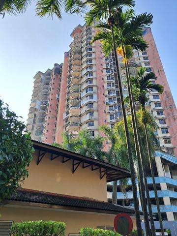 Venice Hill 1