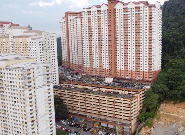 Flora Damansara 1