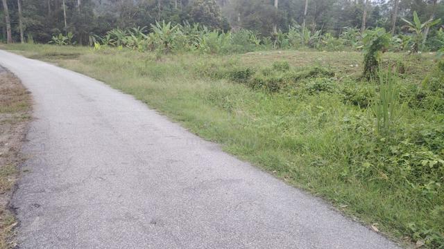 Tanah Cantek 1