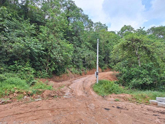 [TANAH BUKIT] Kolam Air Kangkar Merlimau Sri Medan 1