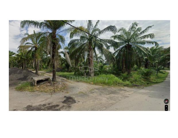 Simpang Ampat Industrial Zoning Land For Rent 1