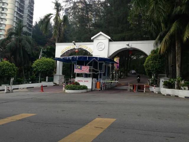 Venice Hill 1
