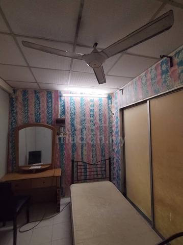 Cozy room for rent  2