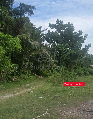 Tanah Pertanian 10 ekar di Juru 1