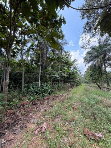Gelang patah Industrial zoning Land For Sale 1