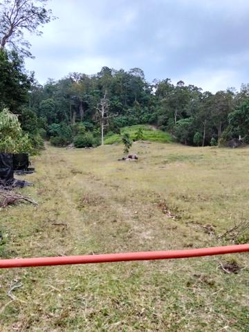 Tanah view cantik dan rata landai 1