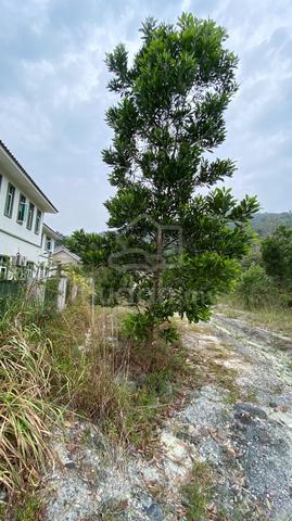 Terengganu Kerteh Residential Leasehold Land For Sale 1